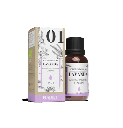 LAVANDA